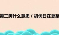 初伏日在夏至第三庚什么意思（初伏日在夏至第三庚是何意思）