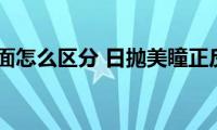 美瞳正反面怎么区分(日抛美瞳正反面怎么区分)