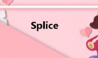 Splice