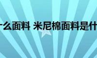 米尼棉是什么面料(米尼棉面料是什么质量)