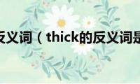 thick的反义词（thick的反义词是什么）