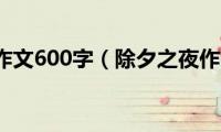 除夕之夜作文600字（除夕之夜作文600字是什么）