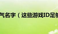 网络游戏霸气名字（这些游戏ID足够有派头）