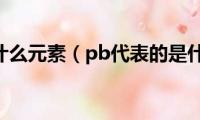 pb是什么元素（pb代表的是什么）