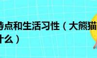 大熊猫的特点和生活习性（大熊猫的特点和生活习性是什么）