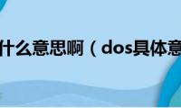 dcs是什么意思啊（dos具体意思）