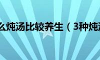 夏季要怎么炖汤比较养生（3种炖汤比较养生）