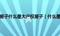 什么是小产权房子什么是大产权房子（什么是小产权什么是大产权）