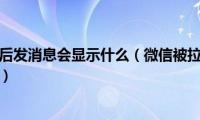 微信被拉黑之后发消息会显示什么（微信被拉黑后发消息过去会显示什么）