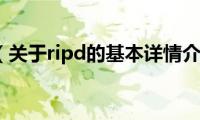 ripd（关于ripd的基本详情介绍）