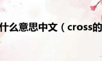 cross是什么意思中文（cross的意思）