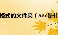 aac是什么格式的文件夹（aac是什么格式）