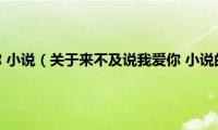 来不及说我爱你(小说（关于来不及说我爱你 小说的基本详情介绍）)