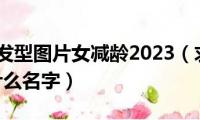 圆脸短发发型图片女减龄2023（求这个短发AV女叫什么名字）