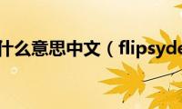 flip什么意思中文（flipsyde）