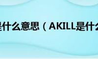 akl英语是什么意思（AKILL是什么意思）