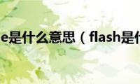 flashcharge是什么意思（flash是什么意思）