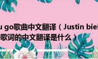 never(let you go歌曲中文翻译（Justin bieber的 I never let you go的歌词的中文翻译是什么）)