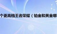 铂金和黄金哪个更高档王者荣耀（铂金和黄金哪个更高档）