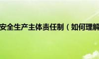 如何理解企业安全生产主体责任制（如何理解企业安全生产主体责任）