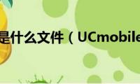 ucmobile是什么文件（UCmobile是什么）