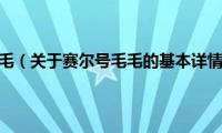 赛尔号毛毛（关于赛尔号毛毛的基本详情介绍）