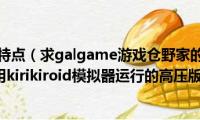 双子座的性格特点（求galgame游戏仓野家的双子情事的全CG存档(我是用kirikiroid模拟器运行的高压版游戏）)