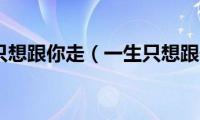 歌曲一生只想跟你走（一生只想跟你走歌词意思）