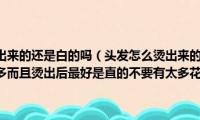 白头发拔掉后长出来的还是白的吗（头发怎么烫出来的效果会比较蓬松看起来头发比较多而且烫出后最好是直的不要有太多花纹在上面）