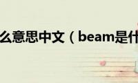 beam是什么意思中文（beam是什么意思）