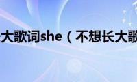 不想长大歌词she（不想长大歌词）