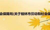 桂林市劳动和社会保障局(关于桂林市劳动和社会保障局的简介)