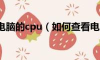 如何查看电脑的cpu（如何查看电脑的cpu是多少）