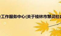 桂林市慧灵社会工作服务中心(关于桂林市慧灵社会工作服务中心的简介)