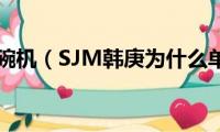 sjm洗碗机（SJM韩庚为什么单飞）