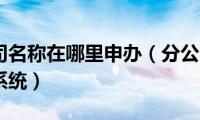 申报分公司名称在哪里申办（分公司名称核准网上申报系统）