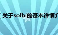 solbi（关于solbi的基本详情介绍）