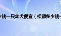 松狮多少钱一只幼犬便宜（松狮多少钱一只）