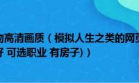 模拟人生4人物高清画质（模拟人生之类的网页游戏,(可结婚(可逛街 画质好 可选职业 有房子)）)