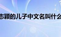 林志颖的儿子中文名叫什么