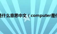 computer是什么意思中文（computer是什么意思）