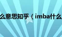 imba什么意思知乎（imba什么意思）