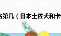 土佐犬排名第几（日本土佐犬和卡斯罗谁厉害）