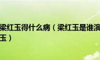 电视剧大时代梁红玉得什么病（梁红玉是谁演的梁红玉扮演者大时代梁红玉）