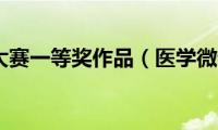 医学微课大赛一等奖作品（医学微课堂电脑版）