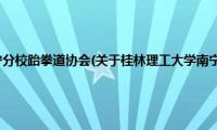 桂林理工大学南宁分校跆拳道协会(关于桂林理工大学南宁分校跆拳道协会的简介)