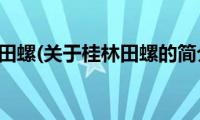 桂林田螺(关于桂林田螺的简介)