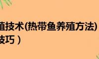 热带鱼养殖技术(热带鱼养殖方法)（热带鱼的基本养殖技巧）