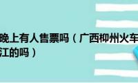 金城江火车站晚上有人售票吗（广西枊州火车站晚上八点过后有车发金城江的吗）