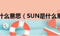 sun是什么意思（SUN是什么意思）